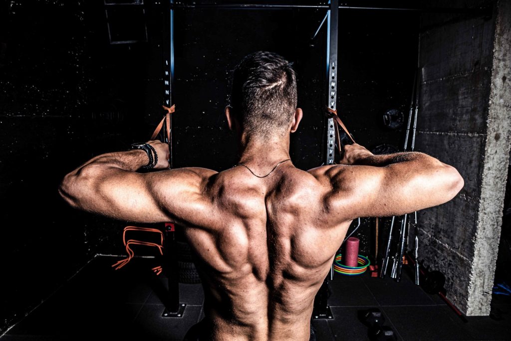 face pull hypertrophy myths